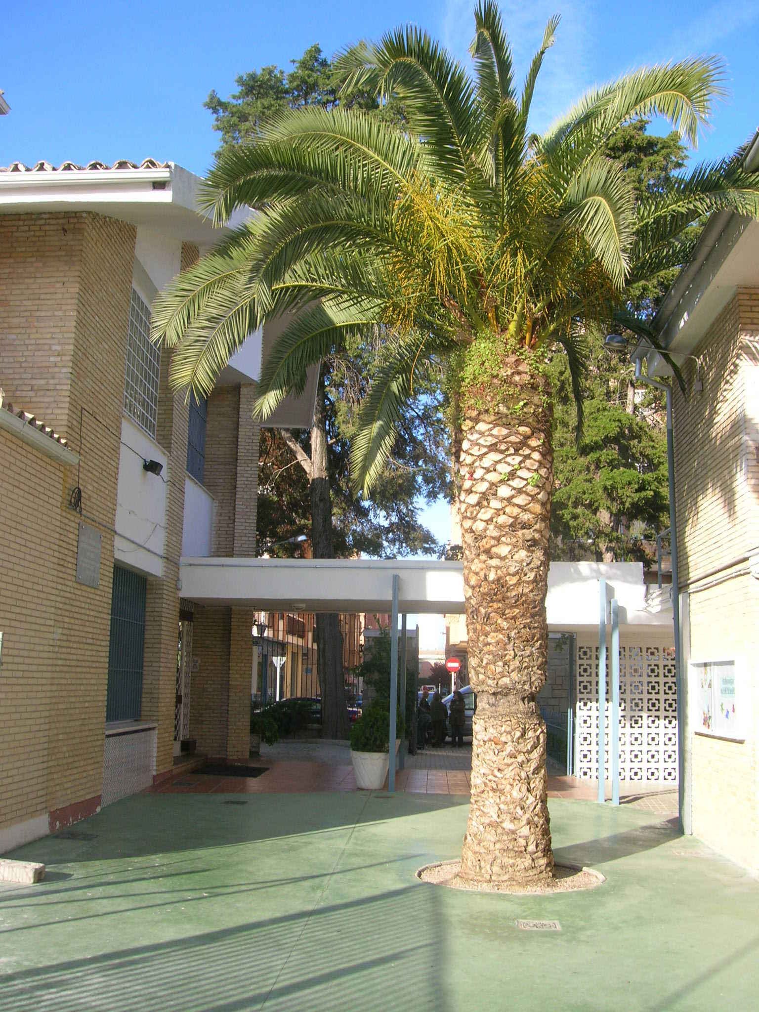 Colegio de La Milagrosa